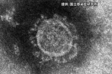 〈新型コロナ〉岡山県で新たに20人の感染を確認　全員軽症または無症状