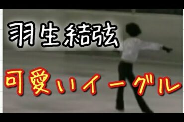 【羽生結弦】オリンピック2連覇の基礎、可愛いイーグルに秘められや奇跡をお話ししますね♪