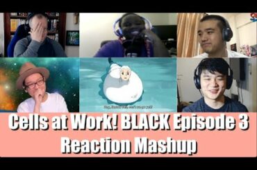Cells At Work BLACK [はたらく細胞BLACK] Episode 3 | Reaction Mashup