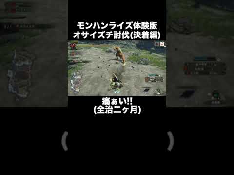 【実況】オサイズチ討伐 その2 #Shorts 【モンハンライズ】 【実況】オサイズチ討伐 その2 #Shorts 【モンハンライズ】