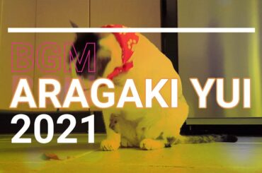 【作業用BGM】新垣結衣（ARAGAKI YUI）のイメージ　ジャズ　2021年1月冬