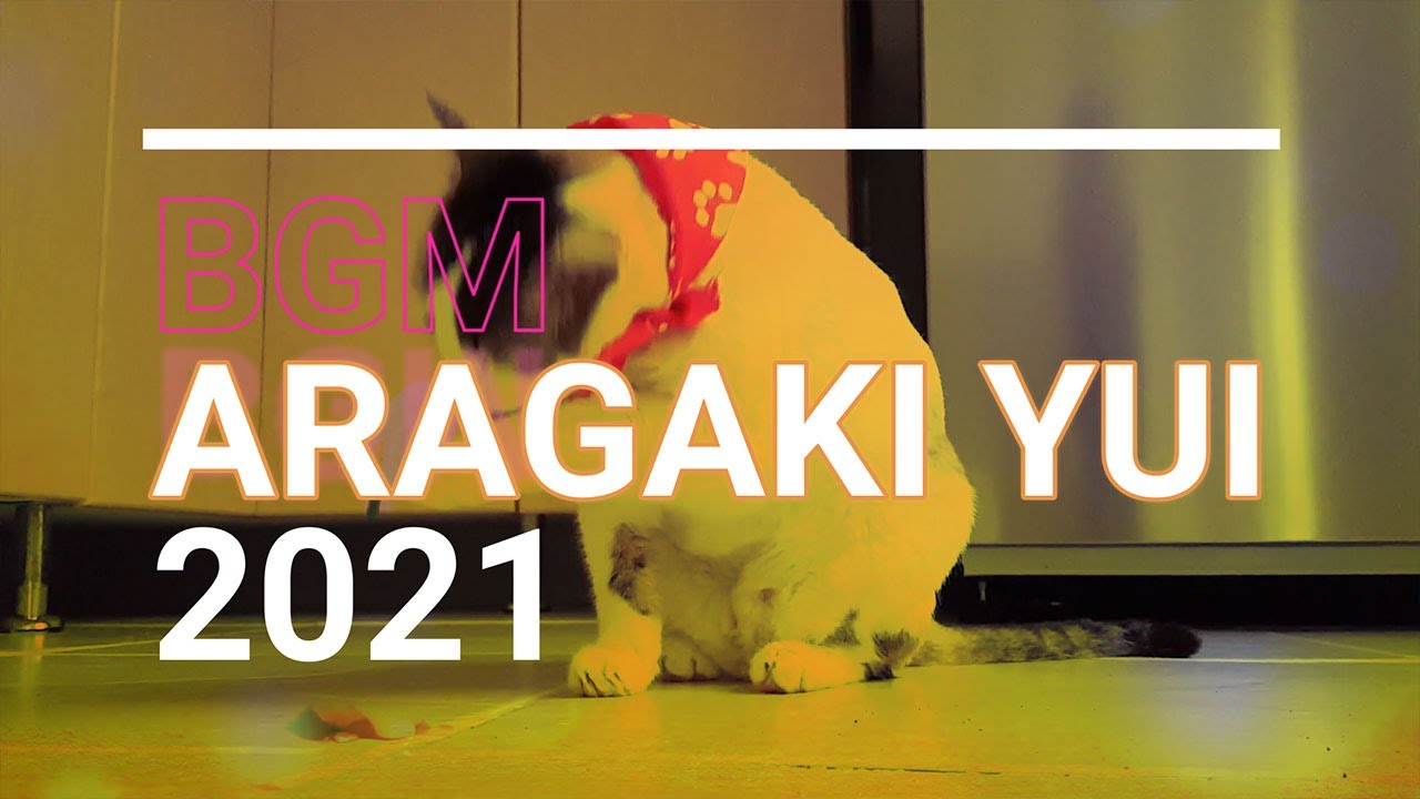 【作業用BGM】新垣結衣（ARAGAKI YUI）のイメージ　ジャズ　2021年1月冬
