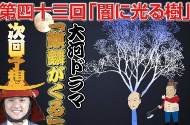 【織田信長】大河ドラマ「麒麟がくる」43回「闇に光る樹」展開予想【明智光秀】