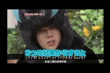 嵐 女優堀北真希に間いた結婚するならどの嵐？