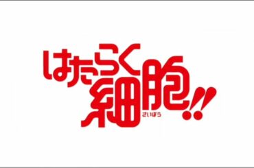 TVアニメ『はたらく細胞!!』OP 「GO!GO!細胞フェスタ」