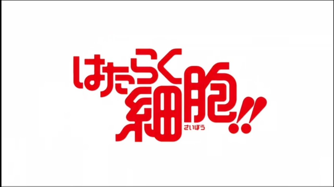 TVアニメ『はたらく細胞!!』OP 「GO!GO!細胞フェスタ」 TVアニメ『はたらく細胞!!』OP 「GO!GO!細胞フェスタ」