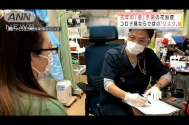 去年の「倍」・・・花粉　コロナ禍ならではのリスクとは(2021年1月26日)