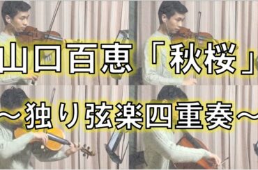 独り弦楽四重奏「秋桜 (コスモス)」山口百恵、さだまさし