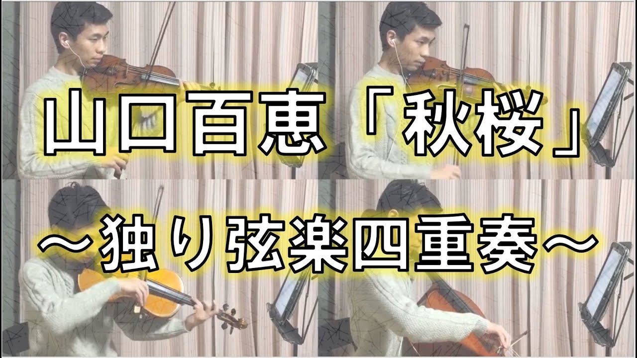 独り弦楽四重奏「秋桜 (コスモス)」山口百恵、さだまさし 独り弦楽四重奏「秋桜 (コスモス)」山口百恵、さだまさし