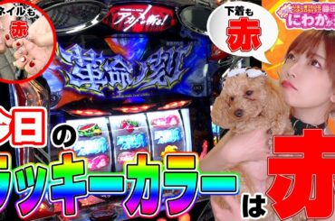 【アカメが斬る！】この出玉、容赦なし！「藤田恵名のそこのけそこのけ！にわかが通る#26」[パチスロ][スロット]