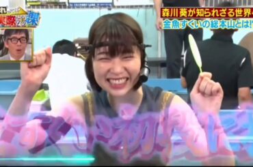 森川葵が知られざる世界へ金魚すくいの総本山とは!？