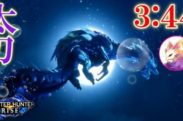 【モンハンライズ】タマミツネ 太刀 3:44 ソロ
