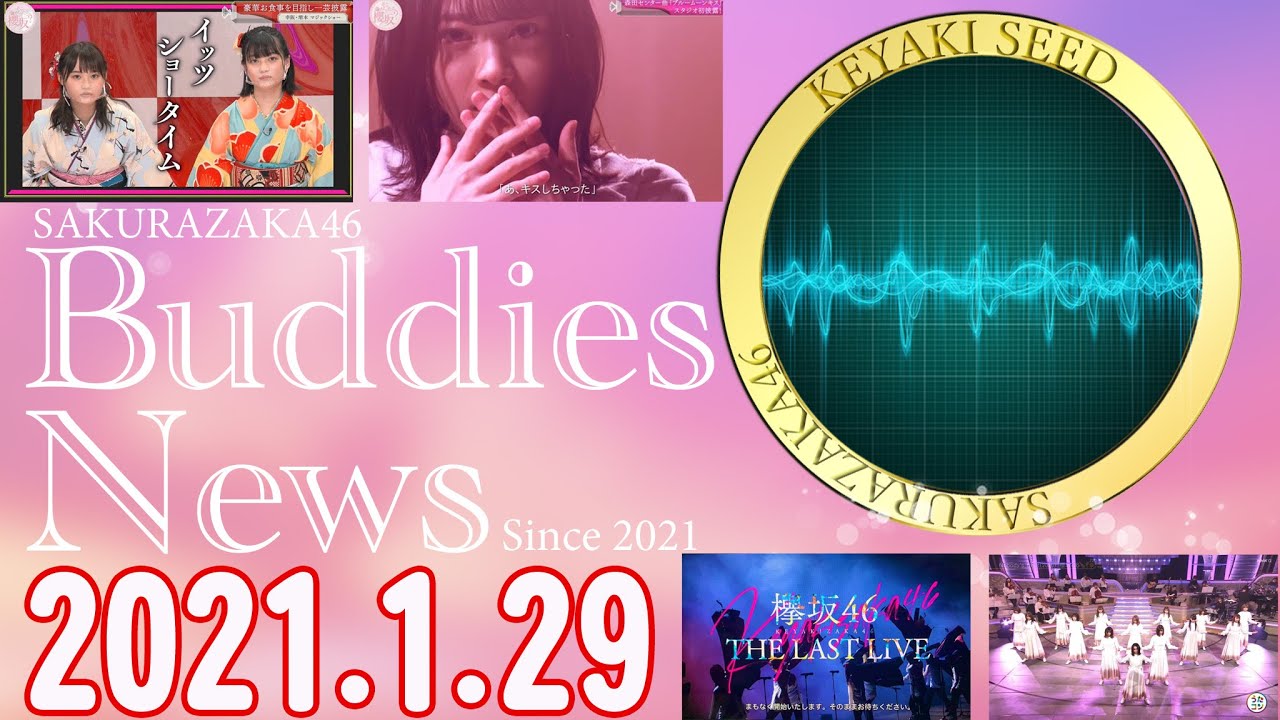 【櫻坂46】Buddies NEWS 01 2021.1.29