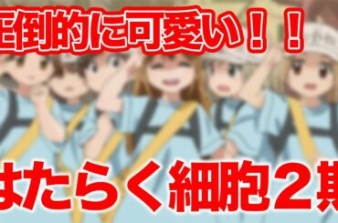 ネタバレ【かわいい】はたらく細胞２期見ての感想