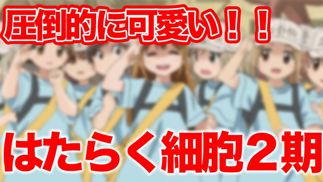 ネタバレ【かわいい】はたらく細胞2期見ての感想 ネタバレ【かわいい】はたらく細胞2期見ての感想