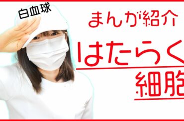 【マンガ紹介】「はたらく細胞」を看護師が紹介！