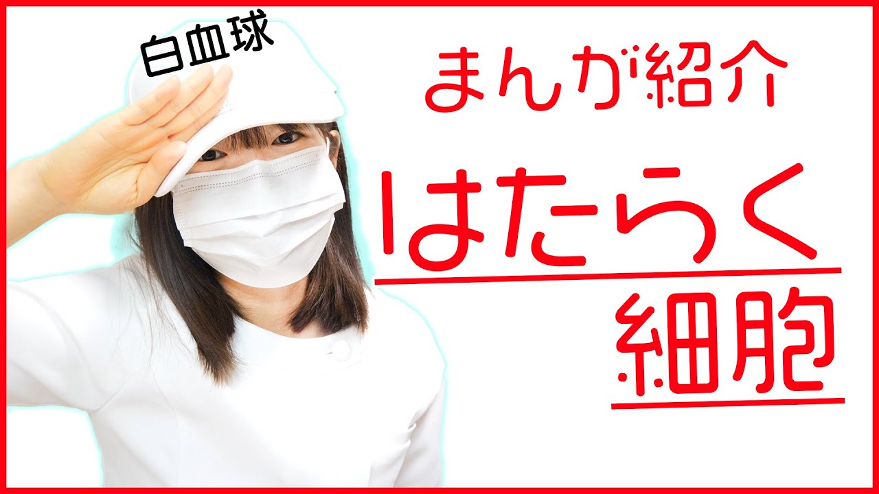 【マンガ紹介】「はたらく細胞」を看護師が紹介! 【マンガ紹介】「はたらく細胞」を看護師が紹介!