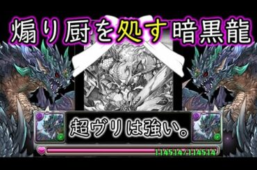 【パズドラ】煽り厨を処す暗黒龍！超転生ヴリトラは強い。(HPを114514にしたパーティでホッポ降臨絶壊滅級！)(ゆっくり実況)