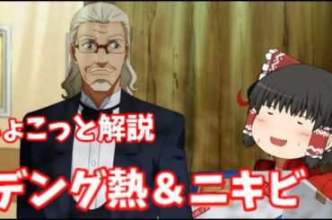 【ゆっくり解説】『はたらく細胞！！』 第3話のデング熱、ニキビについてちょこっと解説【生物】