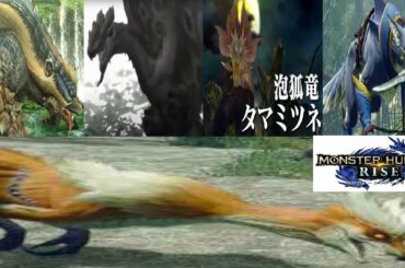 モンハンライズ（体験版）でアオアシラ リオレイア タマミツネ ガルク オサイズチを操作して楽しむ