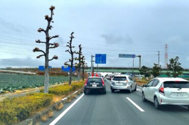 JAPAN Road Trip 2021-01-24 | Driving from Takamatsu Town Tahara City up to Miya Town Gamagori City