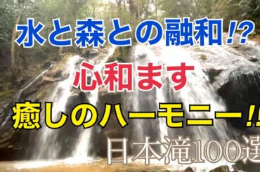 金引の滝　滝File.#24  日本滝100選の滝！ 水と森との融和⁉心和ます癒しのハーモニー‼　京都府宮津市滝馬