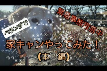 緊急事態宣言中　家キャンやってみた‼（本編）ベスパ　チーズフォンデュ　ネイチャーハイクテント　FIELDOOR チェア　Fengzel  outdoorシュラフ Colemanインフレーターマット