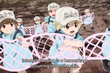 【はたらく細胞】1話たんこぶ 【hataraku saibou】Episode 1 Tankobu