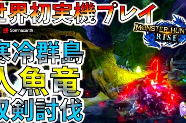 【モンハンライズ】爆破＆閃光も使うイソネミクニの新モーションや新マップ寒冷群島の地形等色々判明。特殊状態異常の蓄積値がライズでは違う??【MHRise】