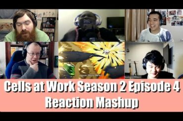 Cells at Work! Season 2 [はたらく細胞!! 2] Episode 4 | Reaction Mashup
