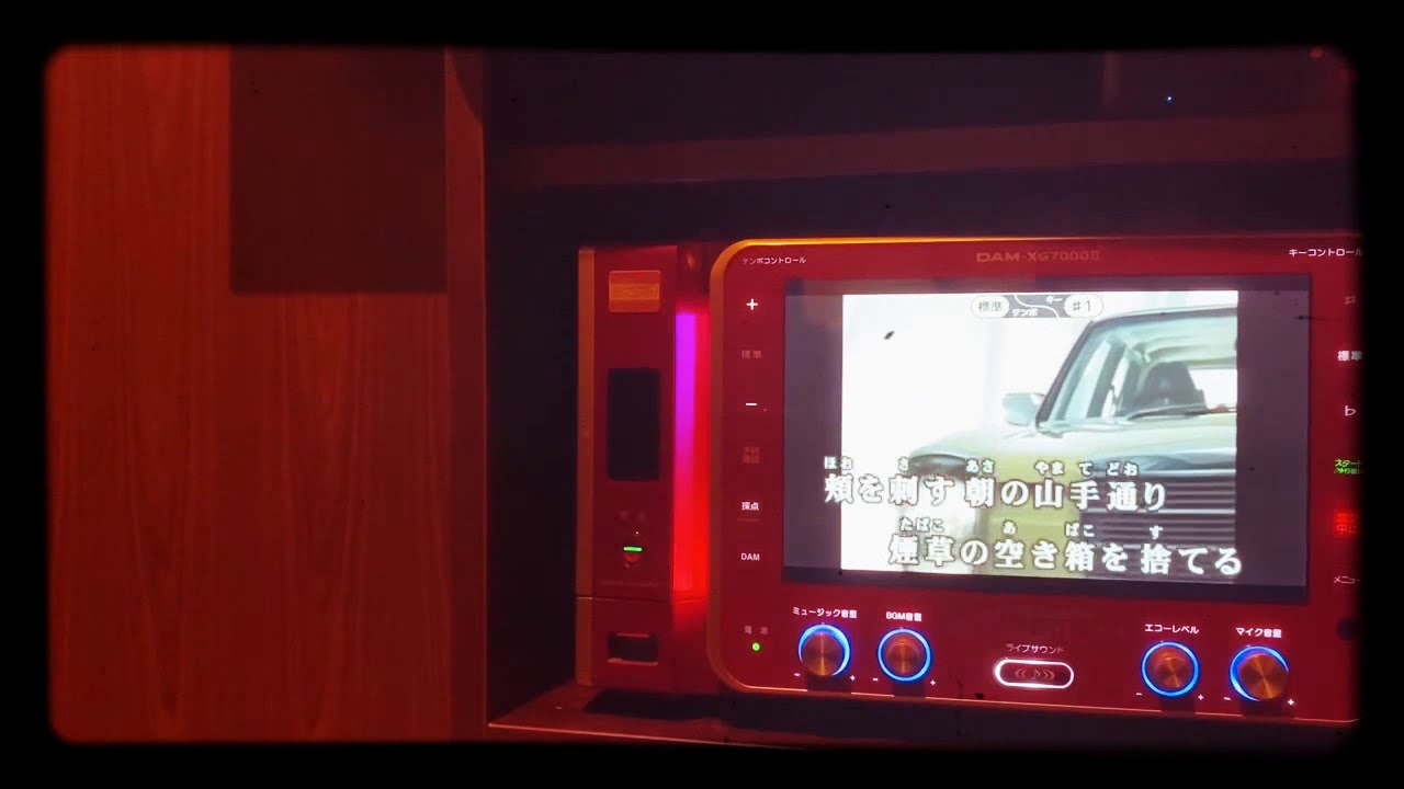 【罪と罰】椎名林檎   cover 15歳【カラオケ】