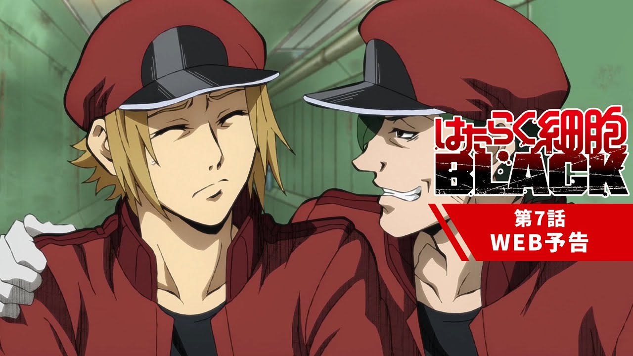 TVアニメ『はたらく細胞BLACK』第7話「カフェイン、誘惑、嫉妬。」WEB予告│2021年2月6日放送 TVアニメ『はたらく細胞BLACK』第7話「カフェイン、誘惑、嫉妬。」WEB予告│2021年2月6日放送