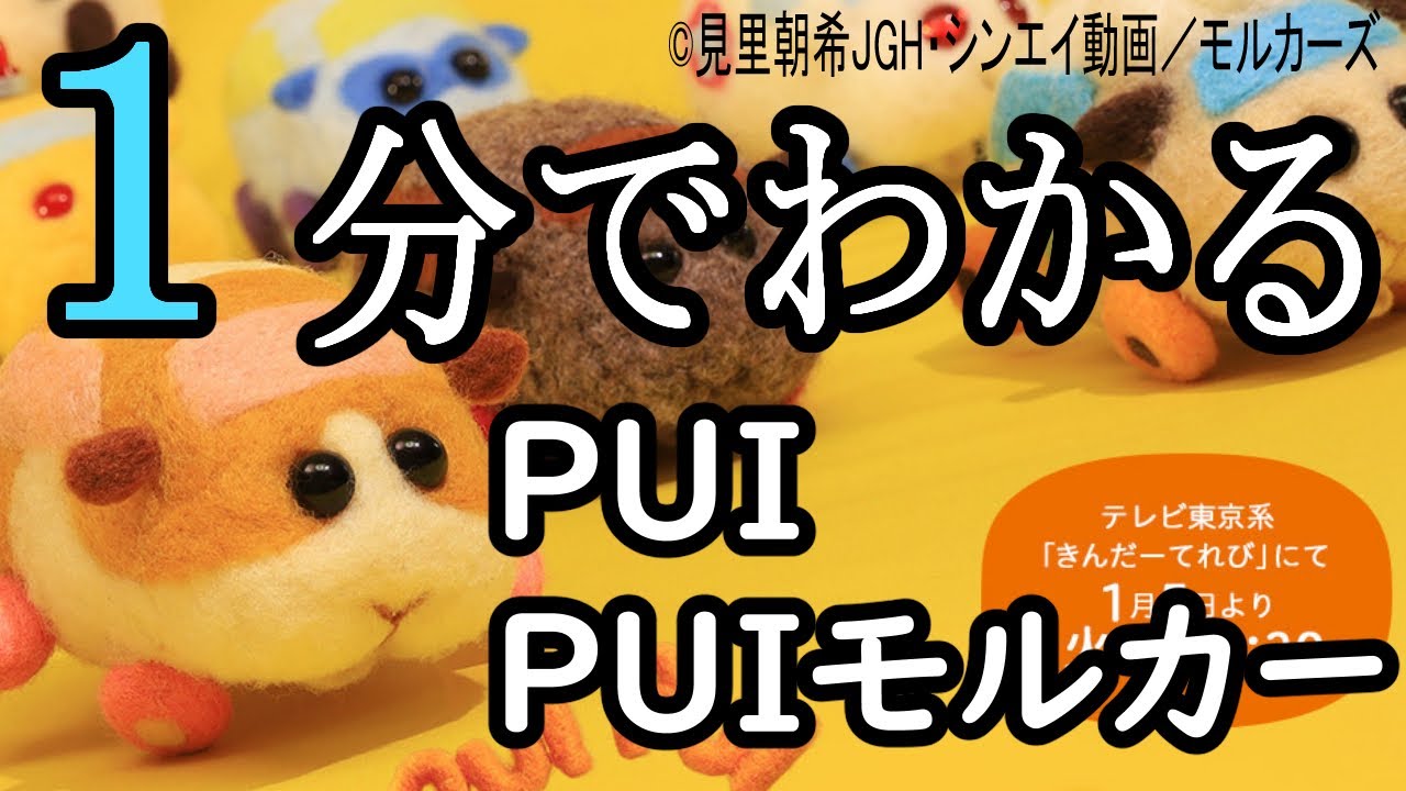 １分でわかる「PUI PUI モルカー」【堺マトメ】
