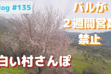 Vlog #135  コロナの影響でバルの営業が２週間禁止になりました。【南スペイン田舎散歩】【スペイン】【アンダルシア】
