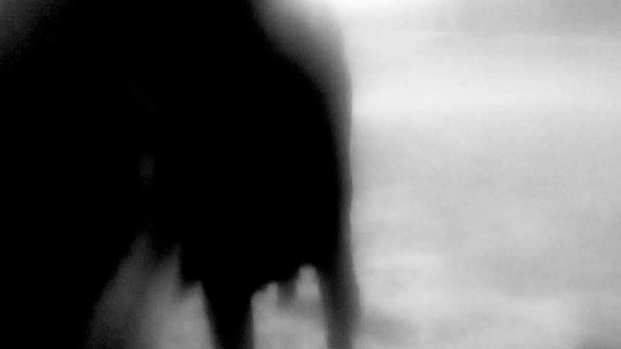 Say hello to my little goat