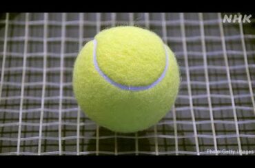 テニス ATPカップ アルゼンチン戦 錦織と西岡 連敗 日本敗れる | NHKニュース