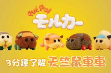 PUI PUI 天竺鼠車車 PUI PUI モルカー 3分鐘了解天竺鼠車車！