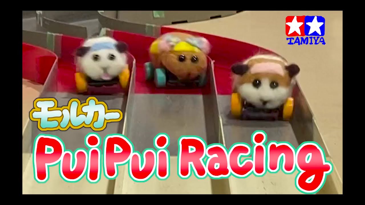 【PUI PUIレーシング】ミニ四駆モルカー