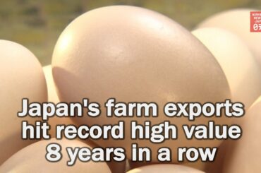 Japan's farm exports hit record high 8 years in a row