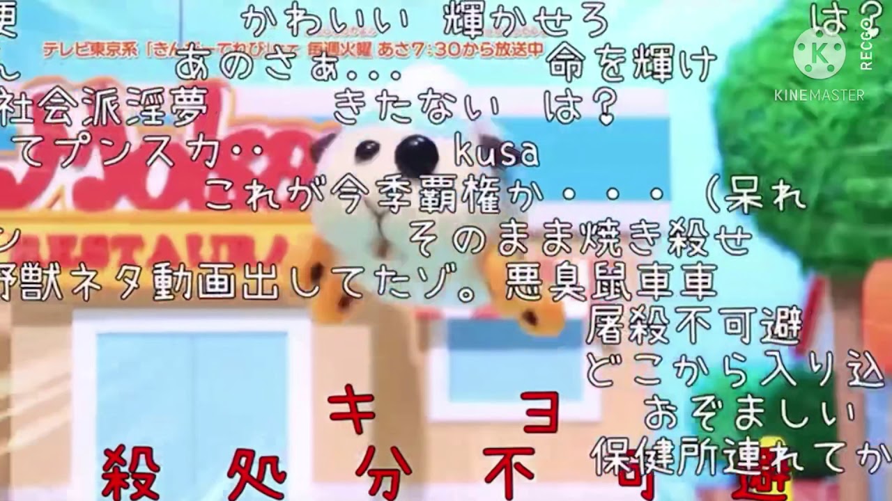 TVアニメ 【PUI PUIモルカー】第八話 野獣救出大作戦!! 予告