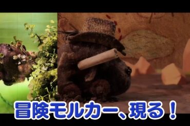 Pui Pui Molcar Episode 7 Preview