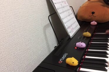 day 278【ピアノ初心者】ハッピーバースデーの曲 川口春奈さん 誕生日おめでとうございます！
