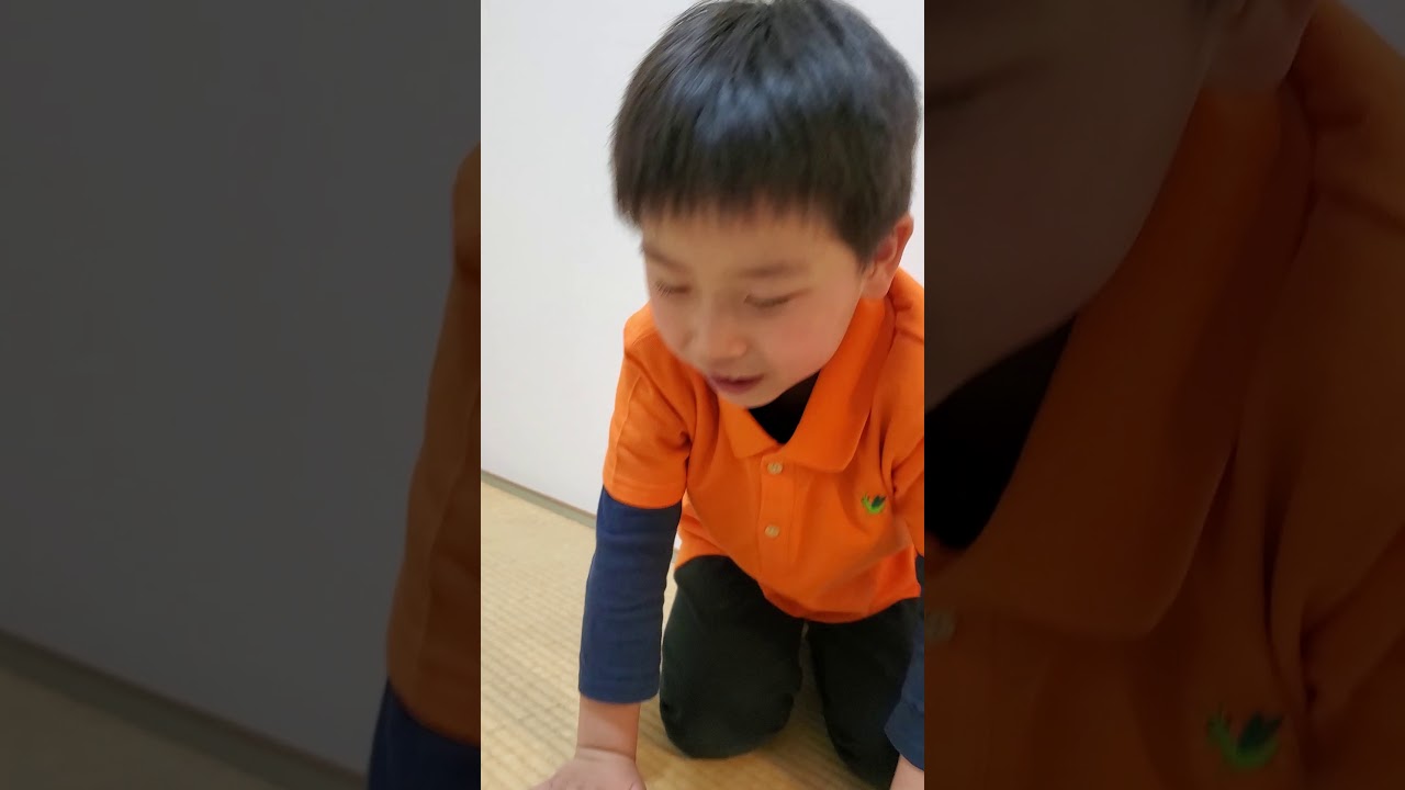 4秒で分かる五歳児によるアニメあらすじ【PUI PUI モルカー編】【KEITV】