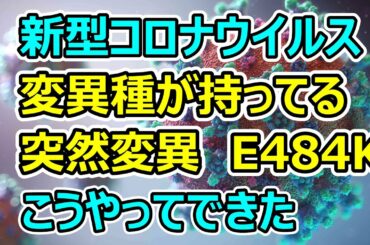 新型コロナウイルス 南アフリカとブラジルの変異種が持ってる突然変異E484Kがどうやってできたか