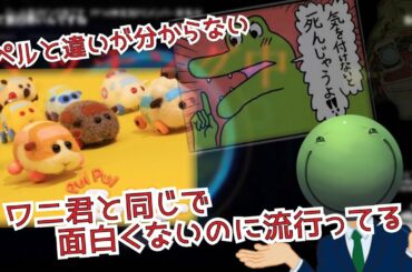 最近流行りのPUI PUIモルカーについて【2021年2月7日】