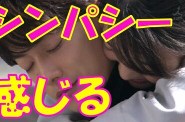 佐藤健と上白石萌音 相性バッチリでお似合いのたけもねにドキドキが抑えられない…似合っていない声も…