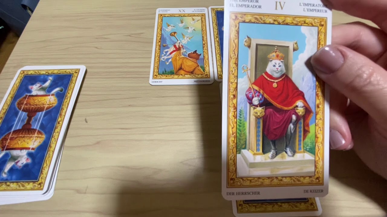 星野源さん&新垣結衣さんの関係は? 星野源さん&新垣結衣さんの関係は?