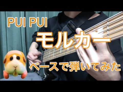 【心より愛を込めて】PUI PUI モルカー 予告テーマ曲【ベースで弾いてみた】