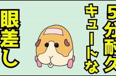 【PUIPUIモルカー】モルカーポテトの愛くるしい眼差しに5分間ひたすら癒される動画