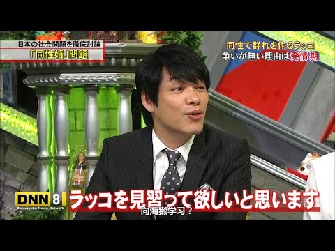 『脱力タイムズ』🅷🅾🆃 『伊藤沙莉&川島明』ラッコを見買って欲しいと思います